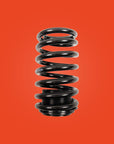 FORD MUSTANG SN95 COBRA 99-04 Coilovers - Riaction Performance Shocks